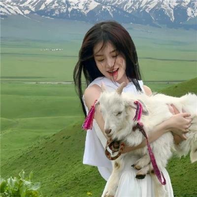 排球少年第四季