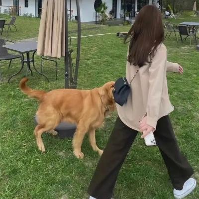 天狗的厨房第二季
